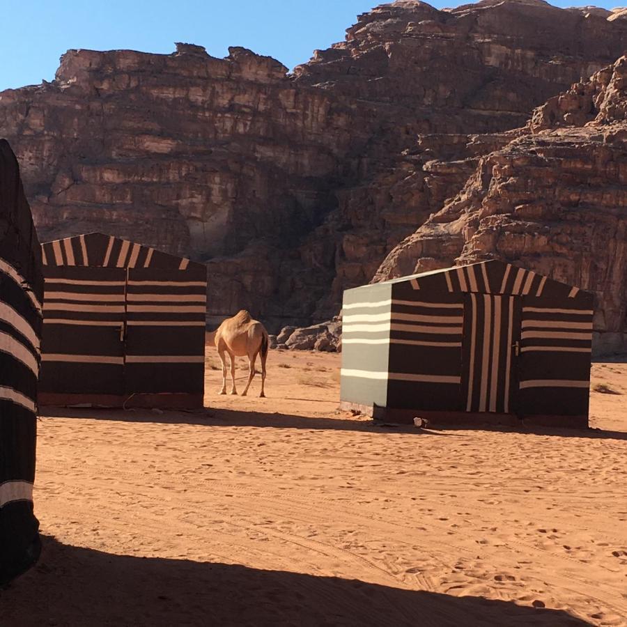 Wadi Rum Jordan Camp Exterior foto